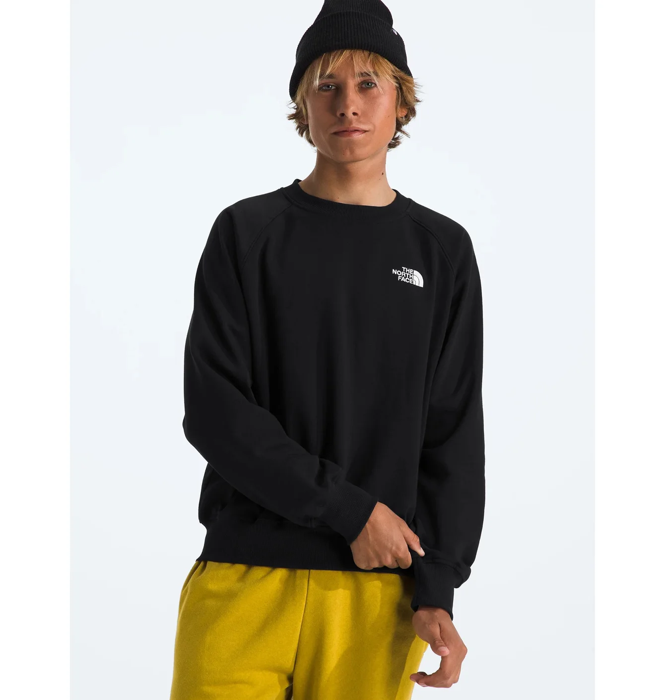 Світшот чоловічий The North Face Evolution Crew Black NF0A86WAKY4