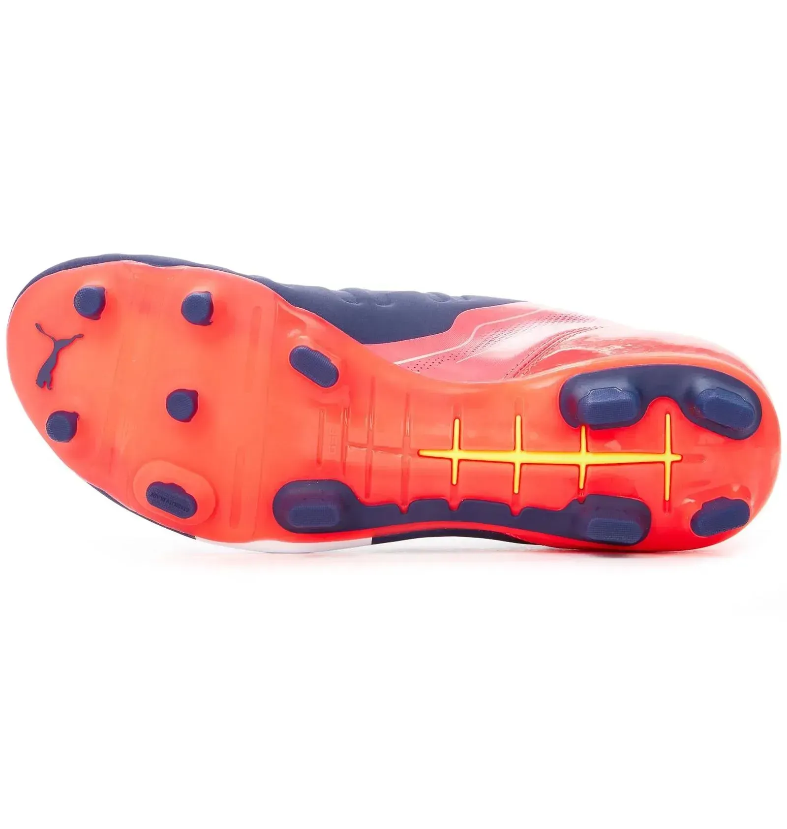 Бутси Puma evoPOWER 2.2 FG