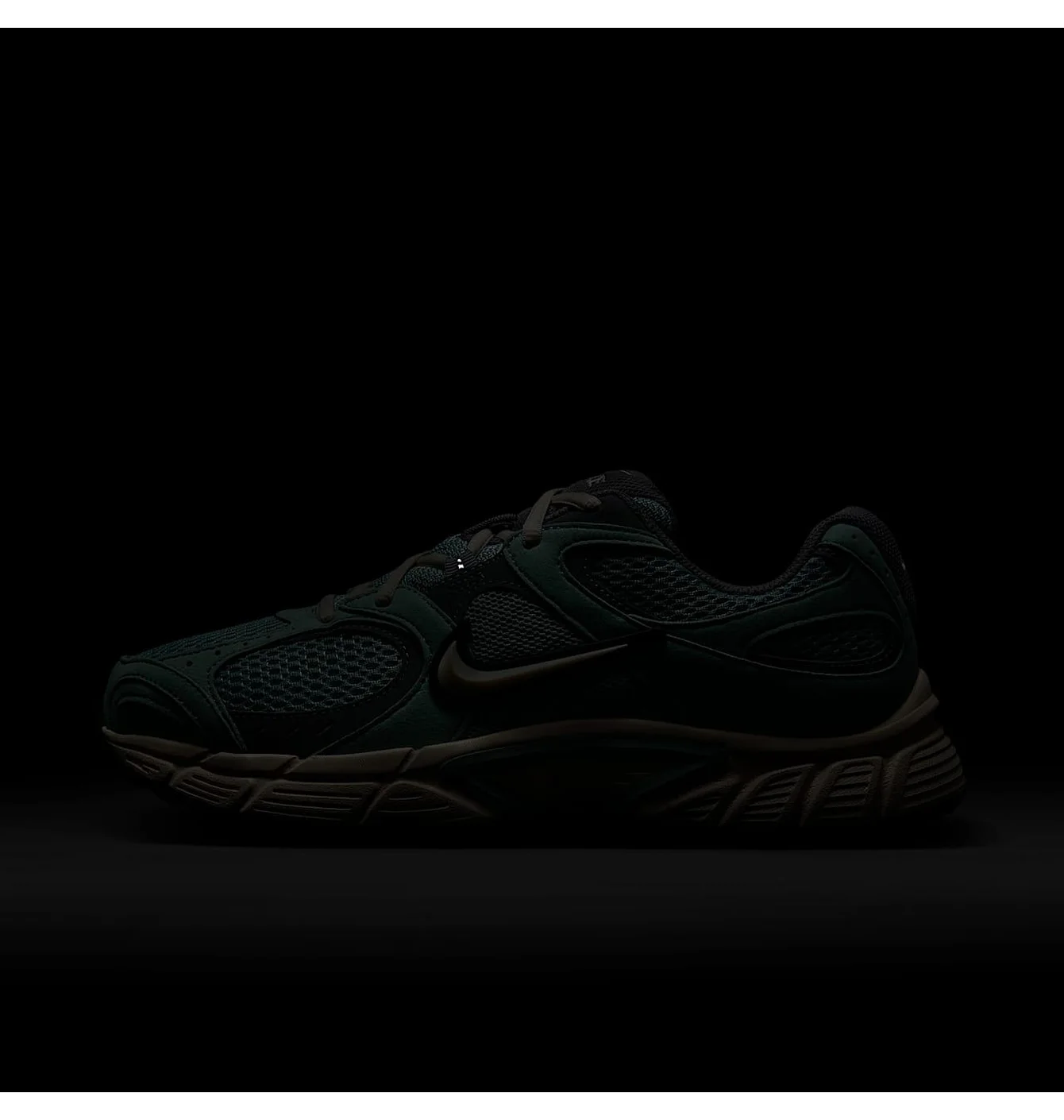 W NIKE V5 RNR
