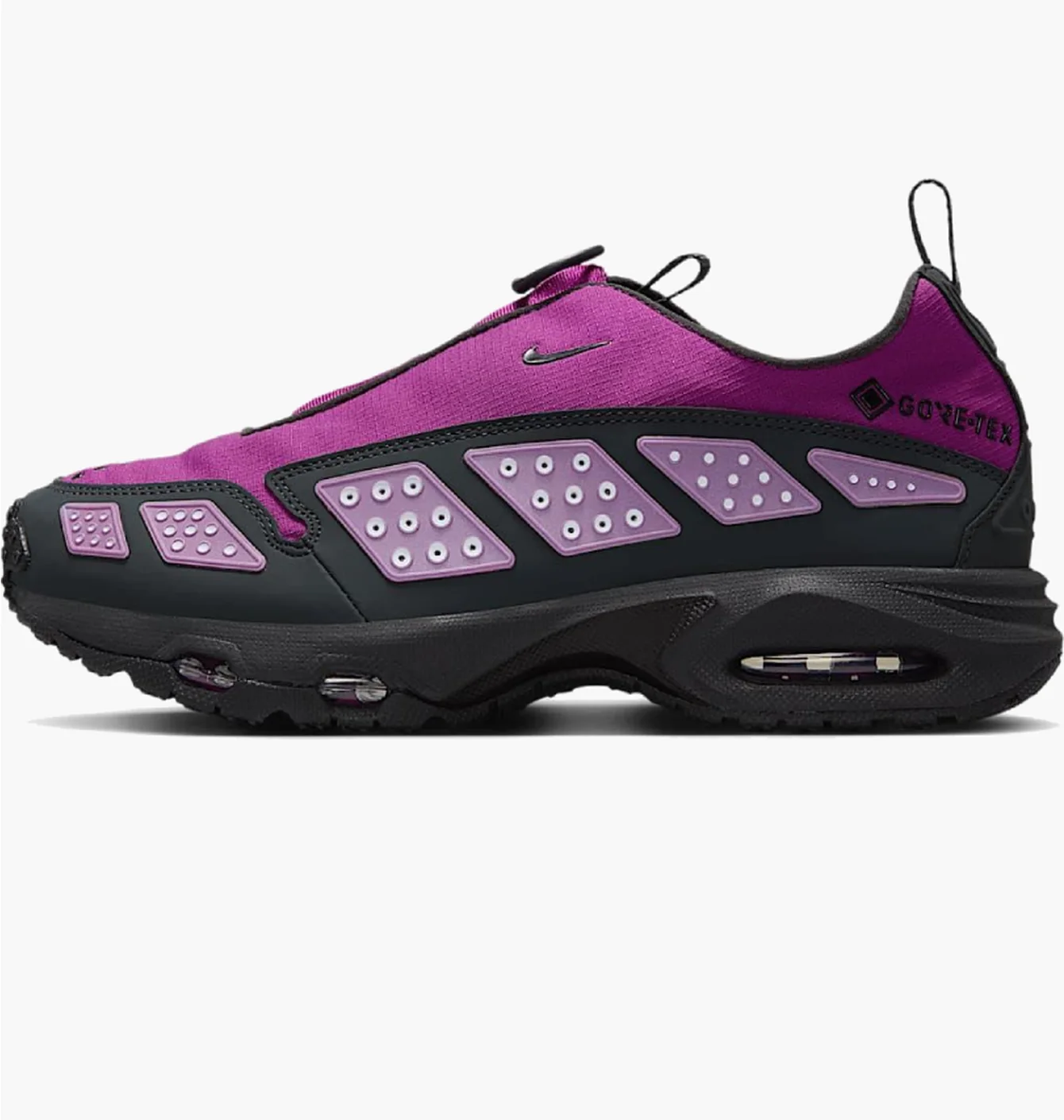 Nike Air Max Sndr Gore-Tex