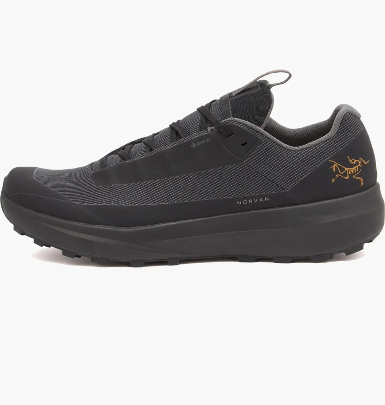 Чоловічі кросівки Arc’teryx Norvan LD 4 GTX M