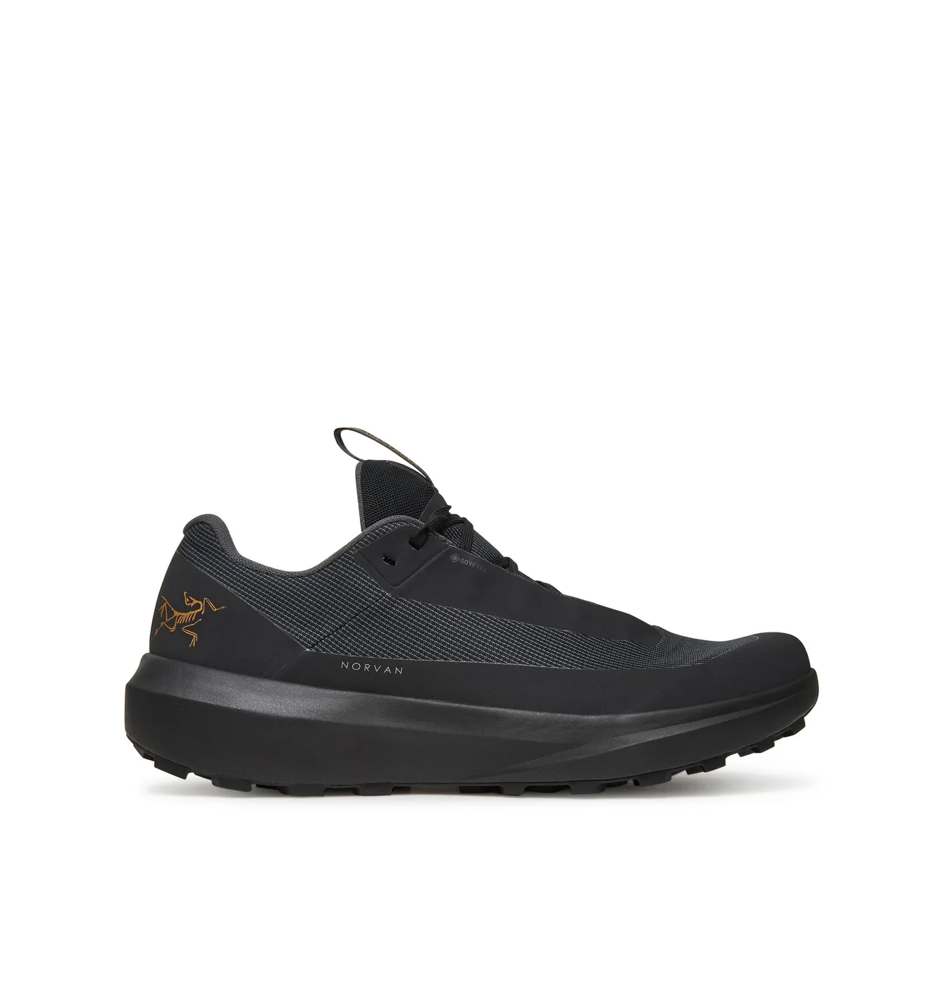 Чоловічі кросівки Arc’teryx Norvan LD 4 GTX M