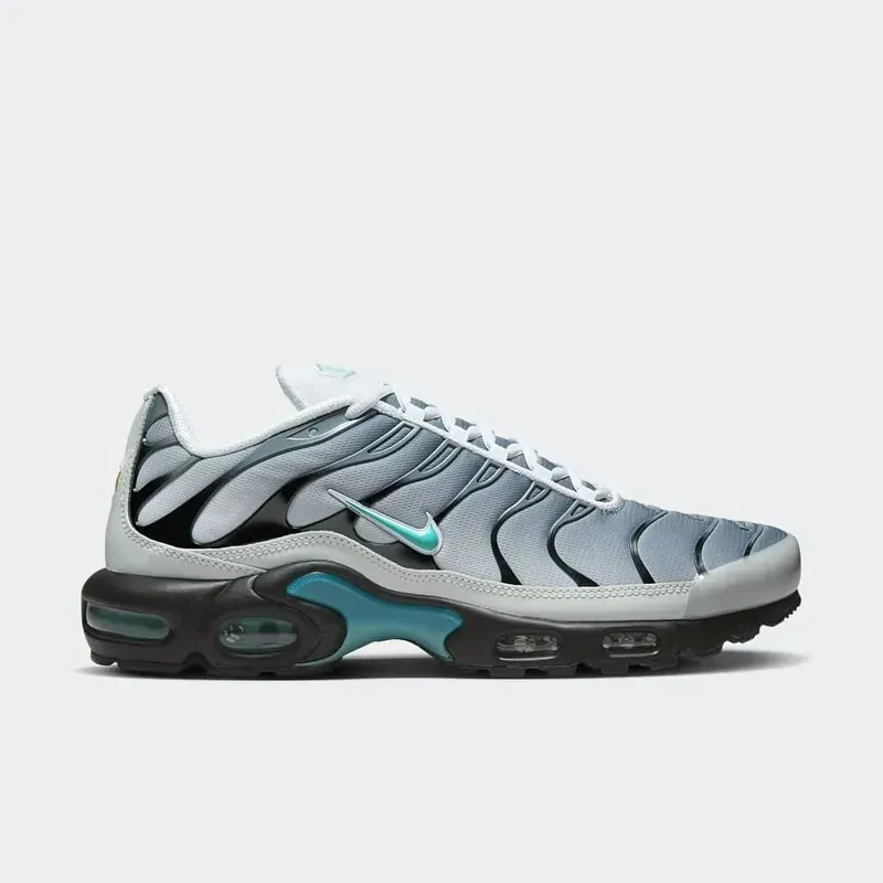 Кросівки чоловічі Nike Air Max Plus One Block Down (FZ3308-001)
