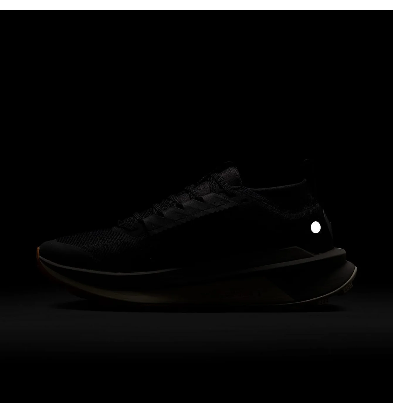Nike W Zoomx Zegama Trail 2 Black