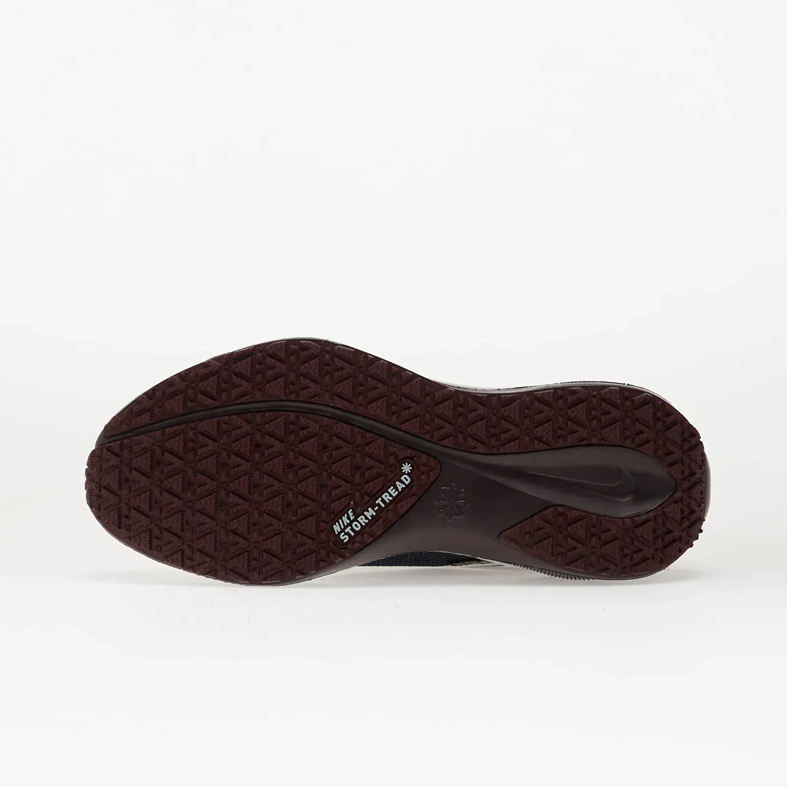 Кросівки жіночі Nike Pegasus 41 Gore-Tex (FQ1357-401)