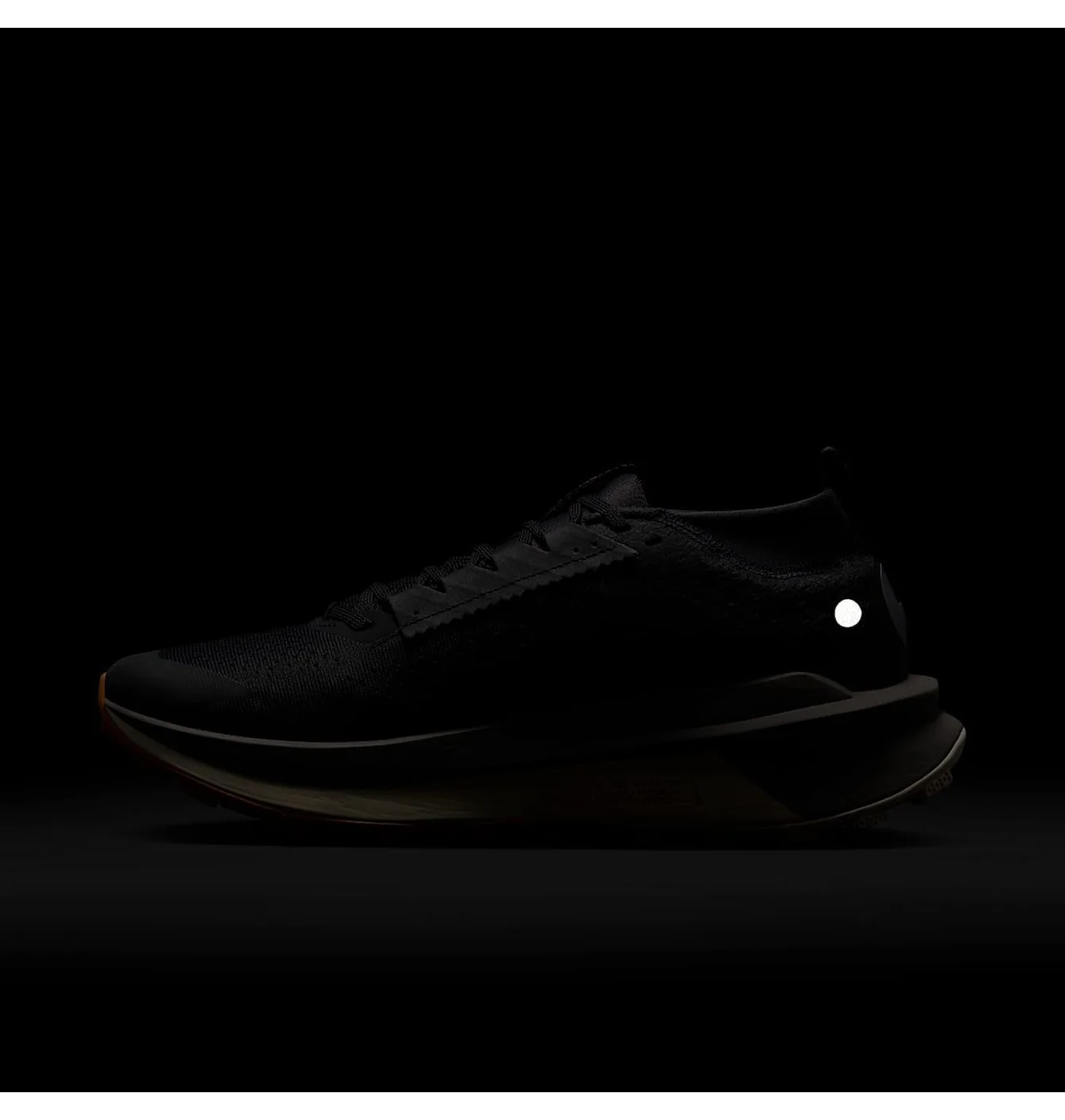 Nike Zegama