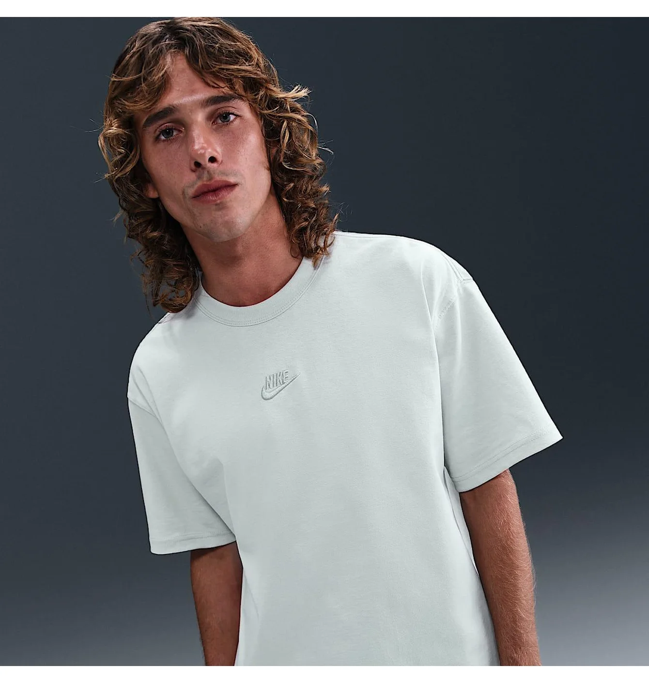 Футболка Nike Premium Essentials Grau