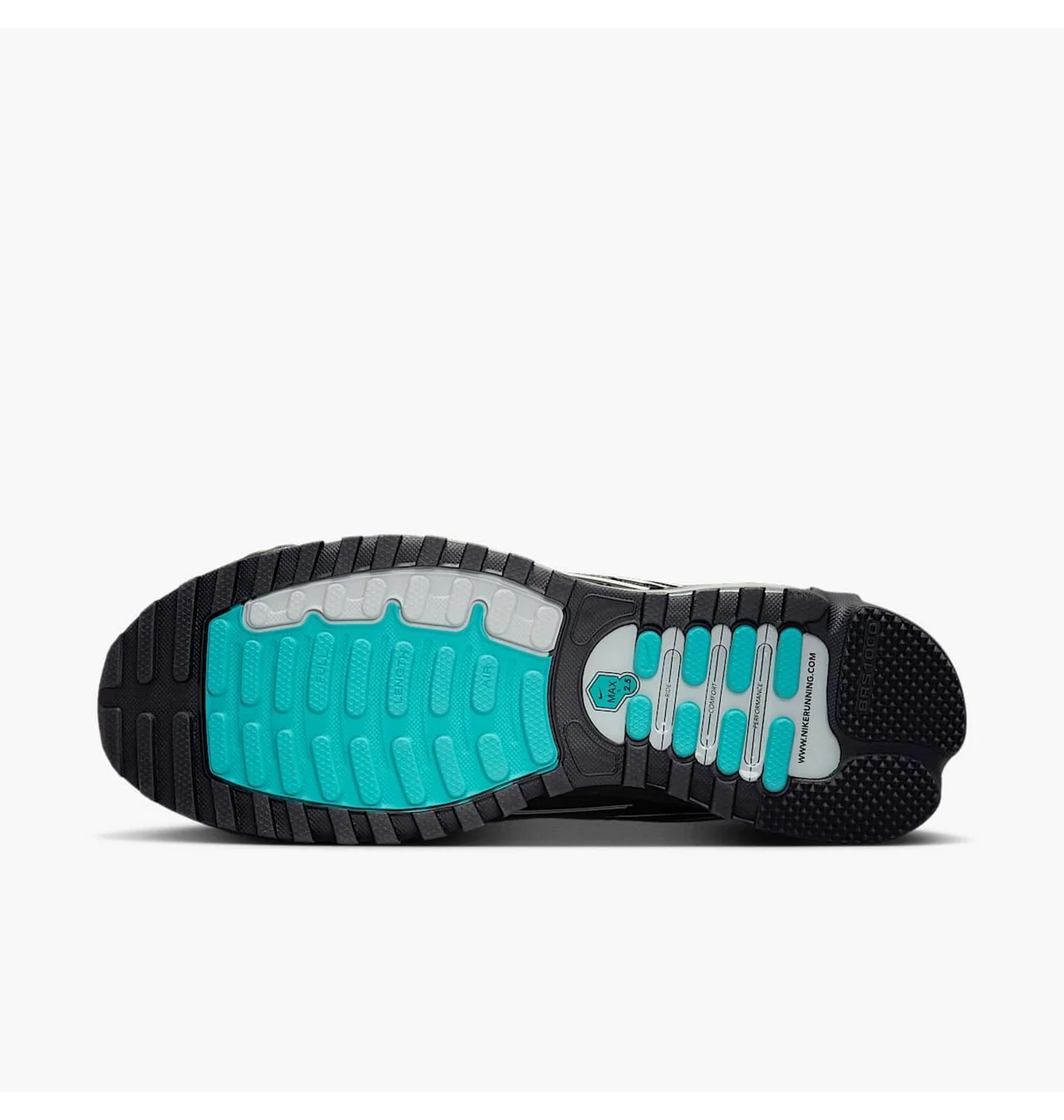 Nike Air Max Tl 2.5