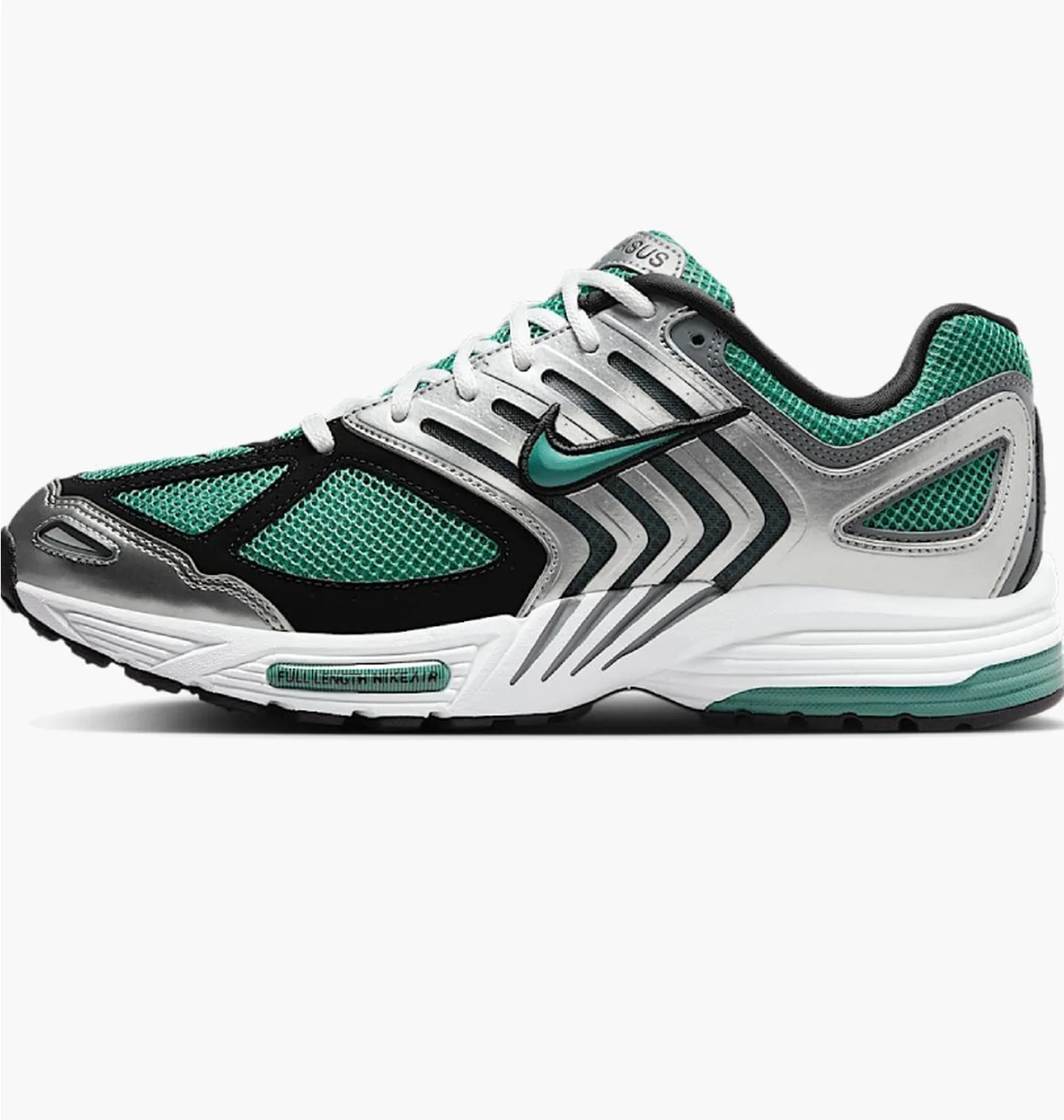 Nike Air Pegasus 2005