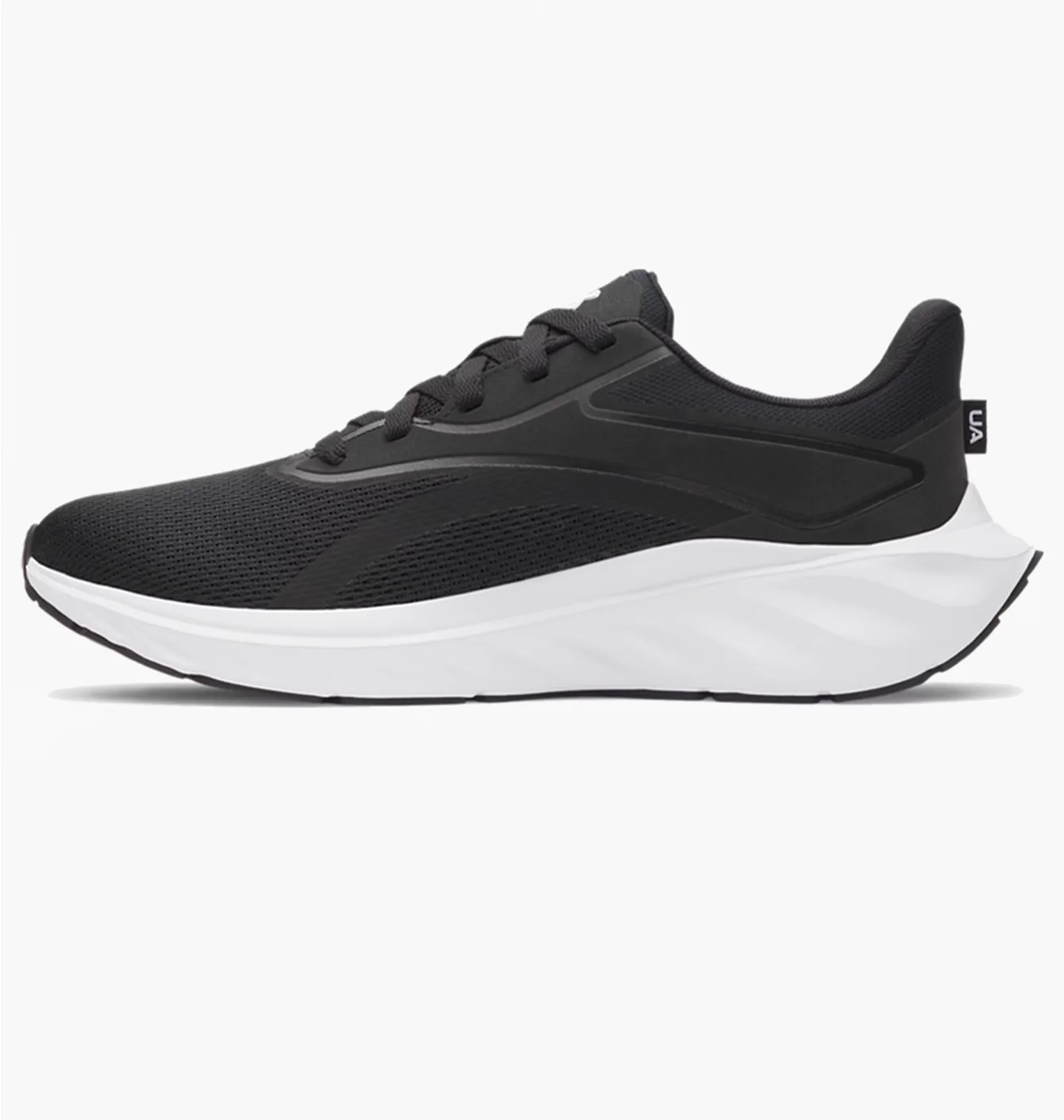 Кросівки Under Armour Ascend Run