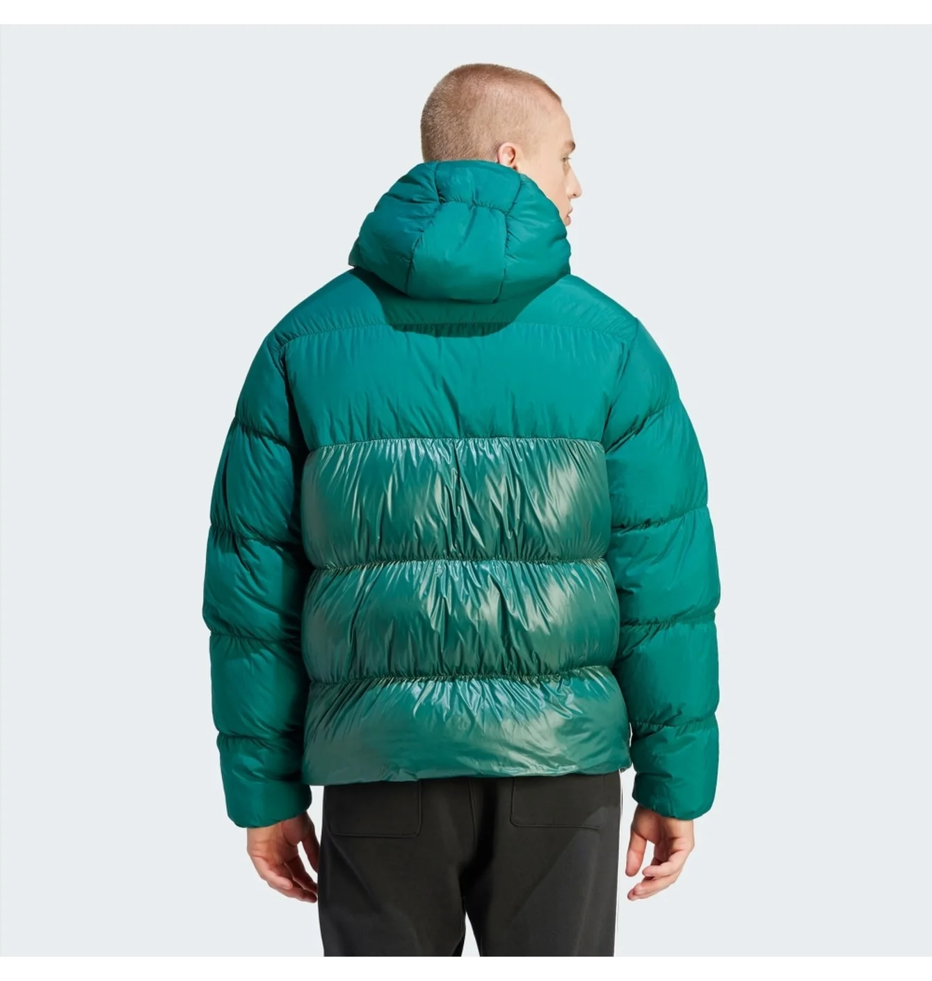 Пуховик Adidas Originals (зелений)