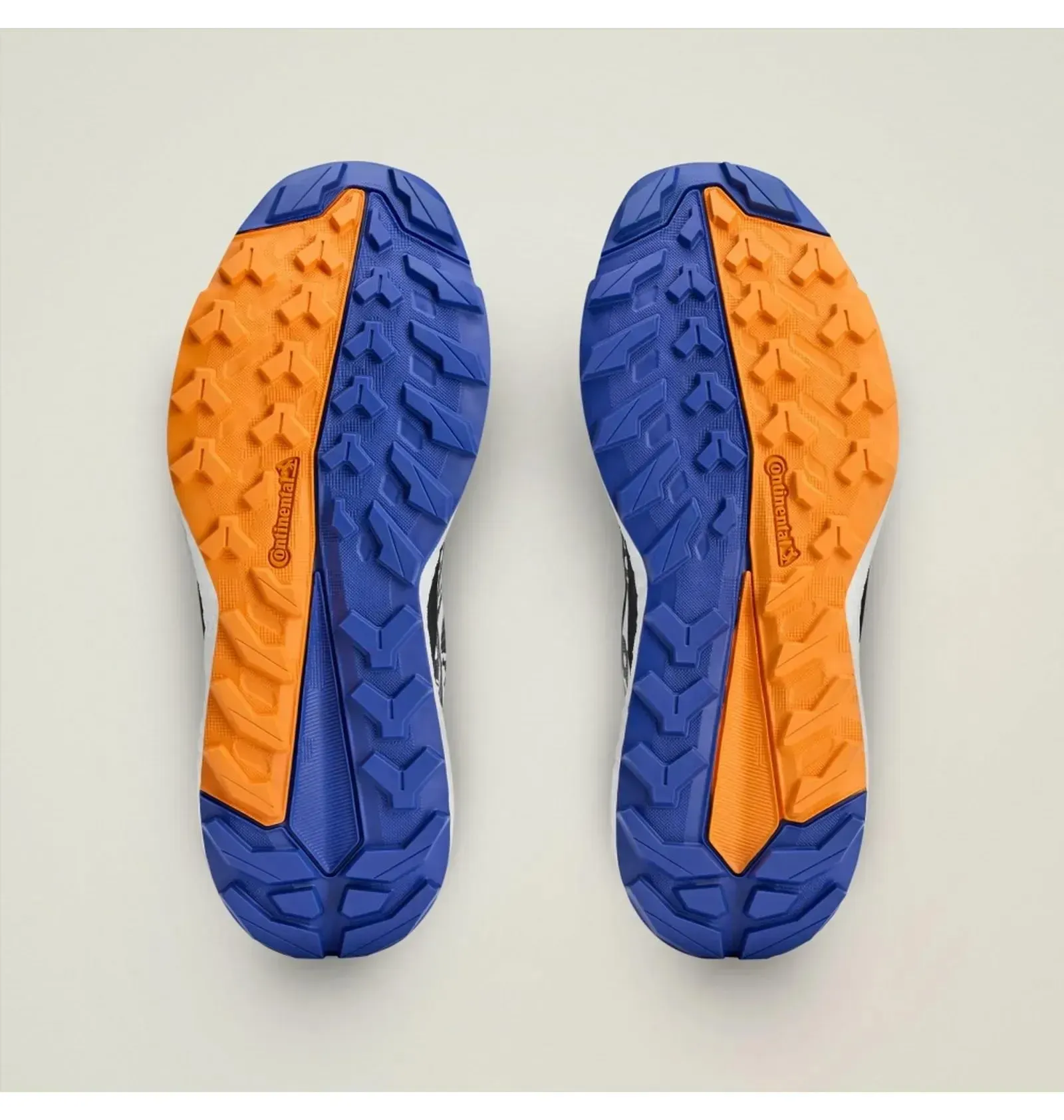 Кросівки ASMC X Terrex Free Hiker GTX