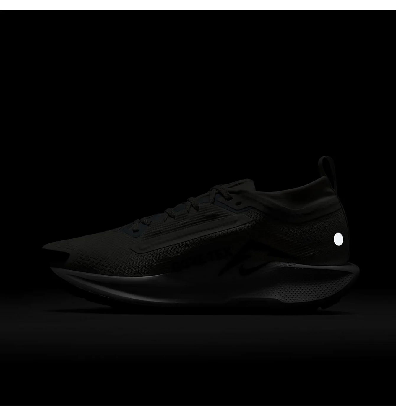 W NIKE PEGASUS TRAIL 5 GTX WATERPROOF