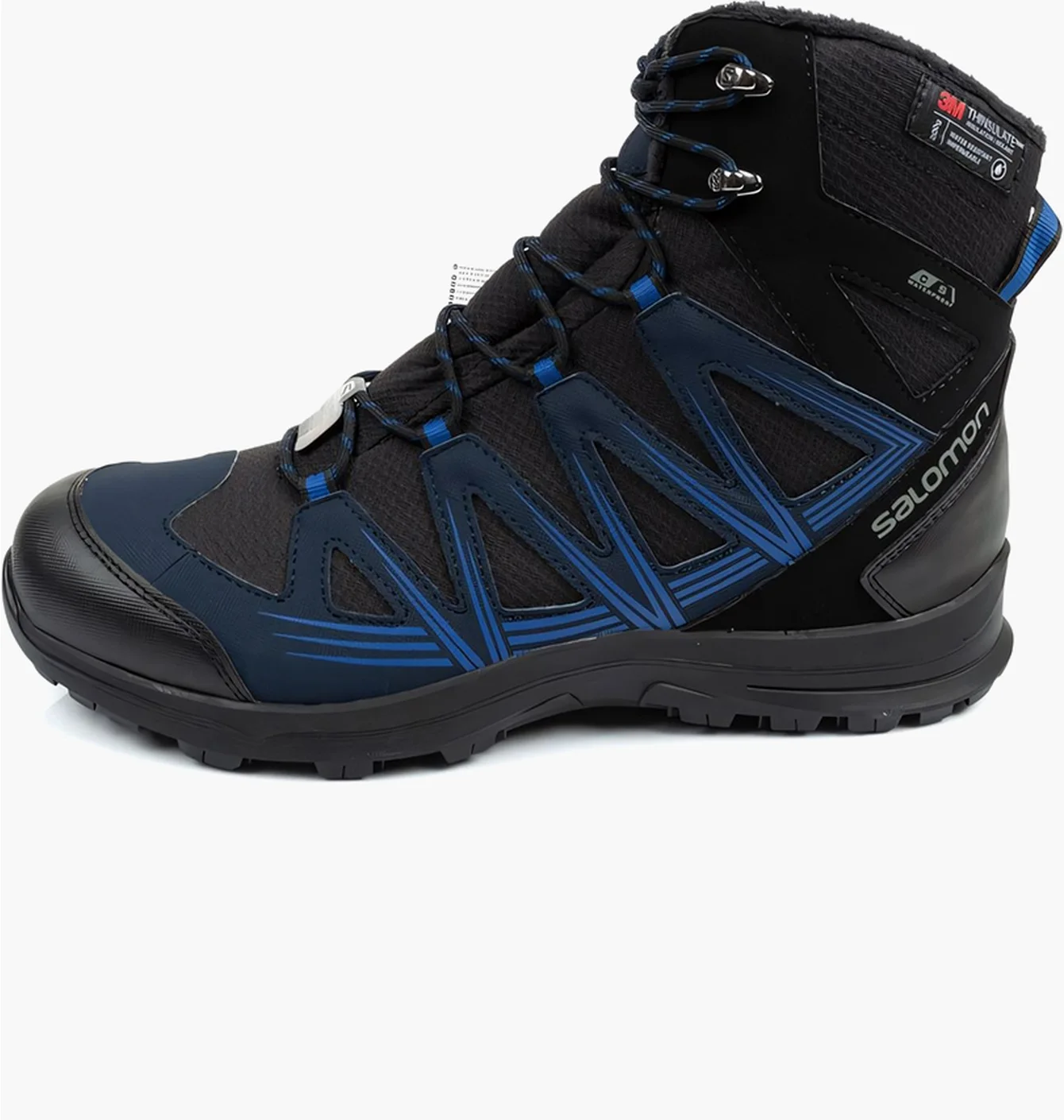 Черевики Salomon Woodsen 2 TS CSWP
