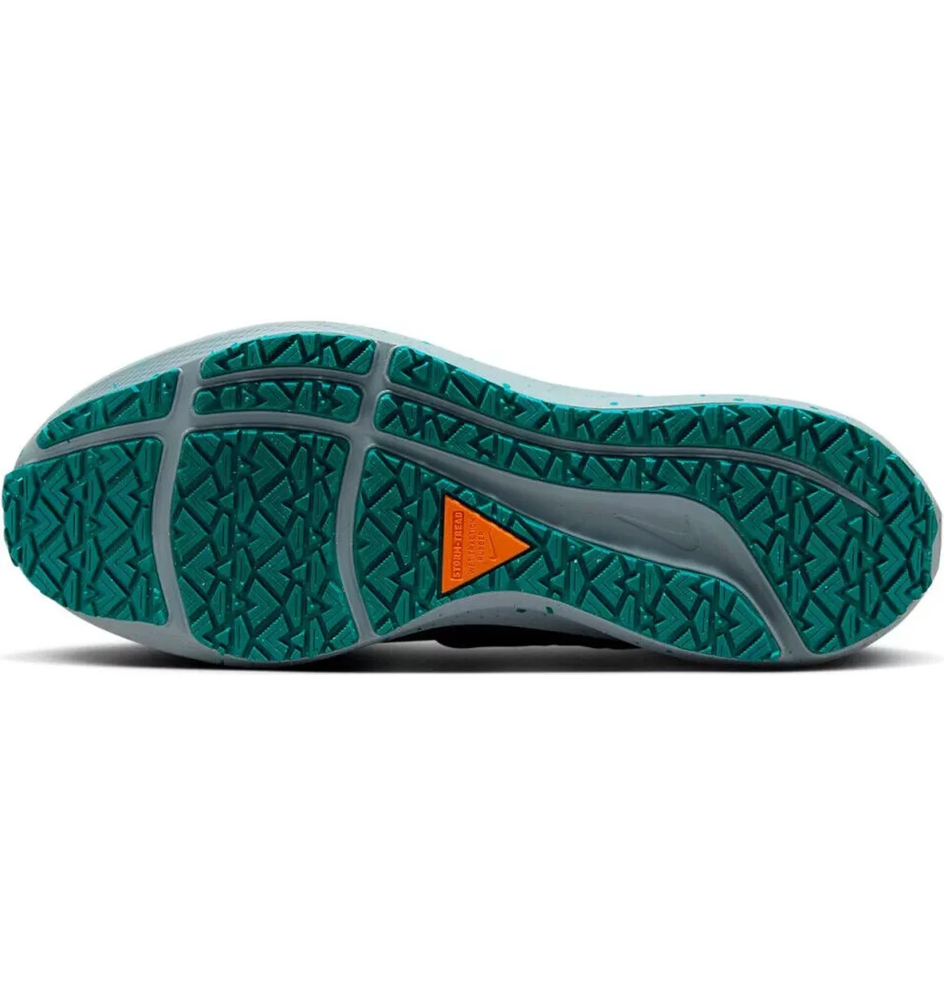 NIKE AIR ZOOM PEGASUS 39 SHIELD