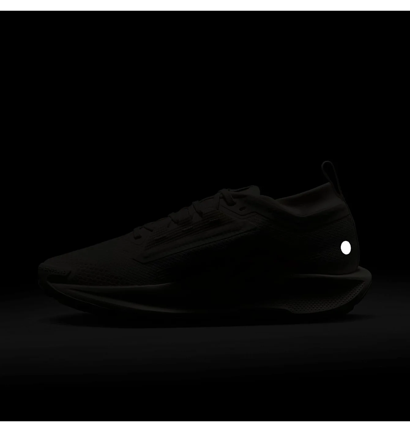 W NIKE PEGASUS TRAIL 5 GTX