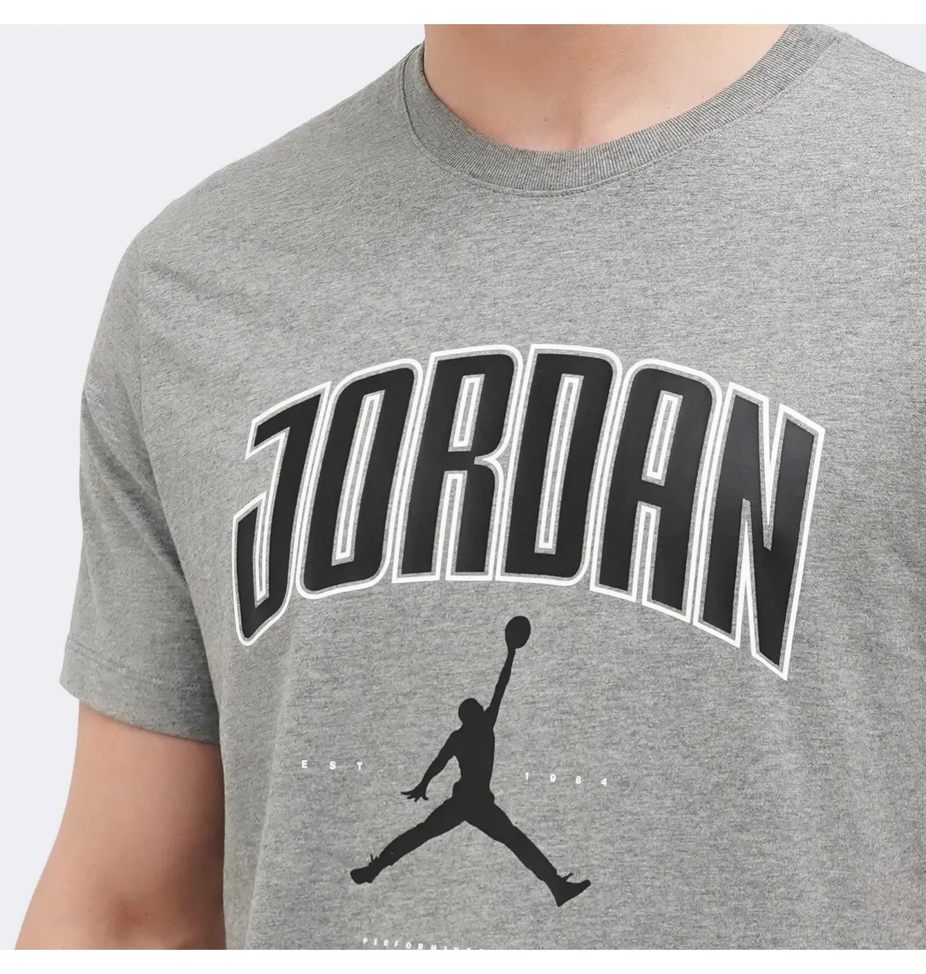 Футболка чоловіча Air Jordan City 88 Ss Crew Grey HQ0009-091