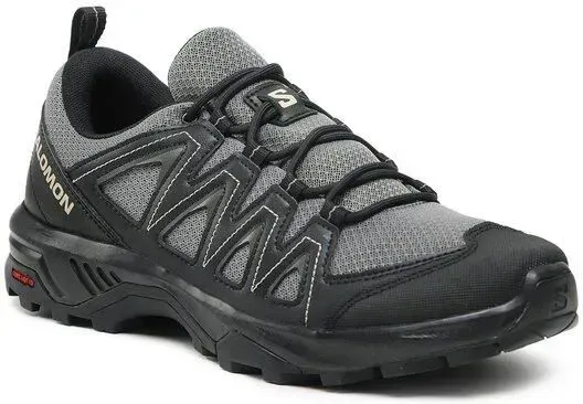 Кросівки чоловічі Salomon Trekkingi X Braze (471800)