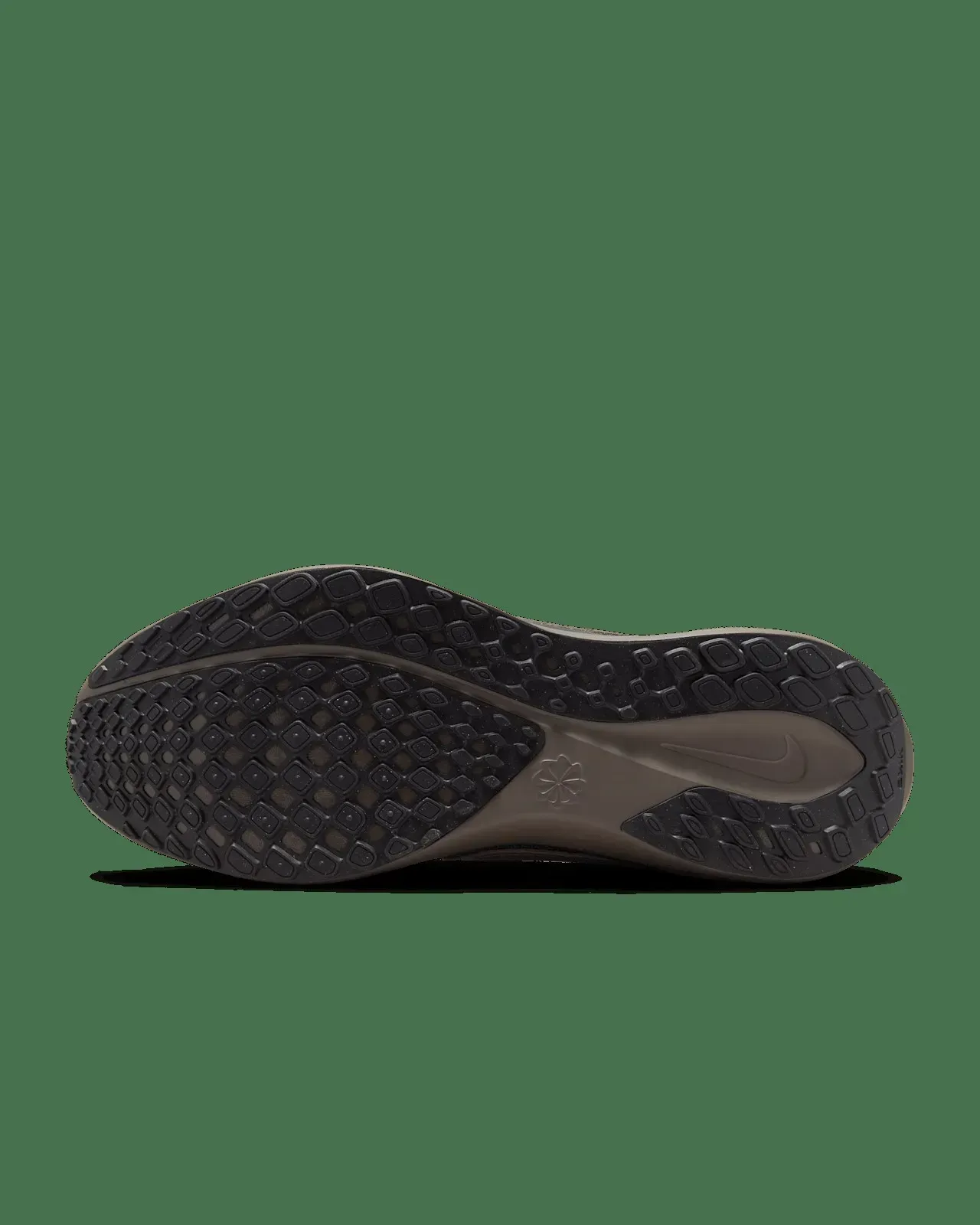 Кросівки чоловічі Nike Air Zoom Pegasus 41 (HQ6025-300)