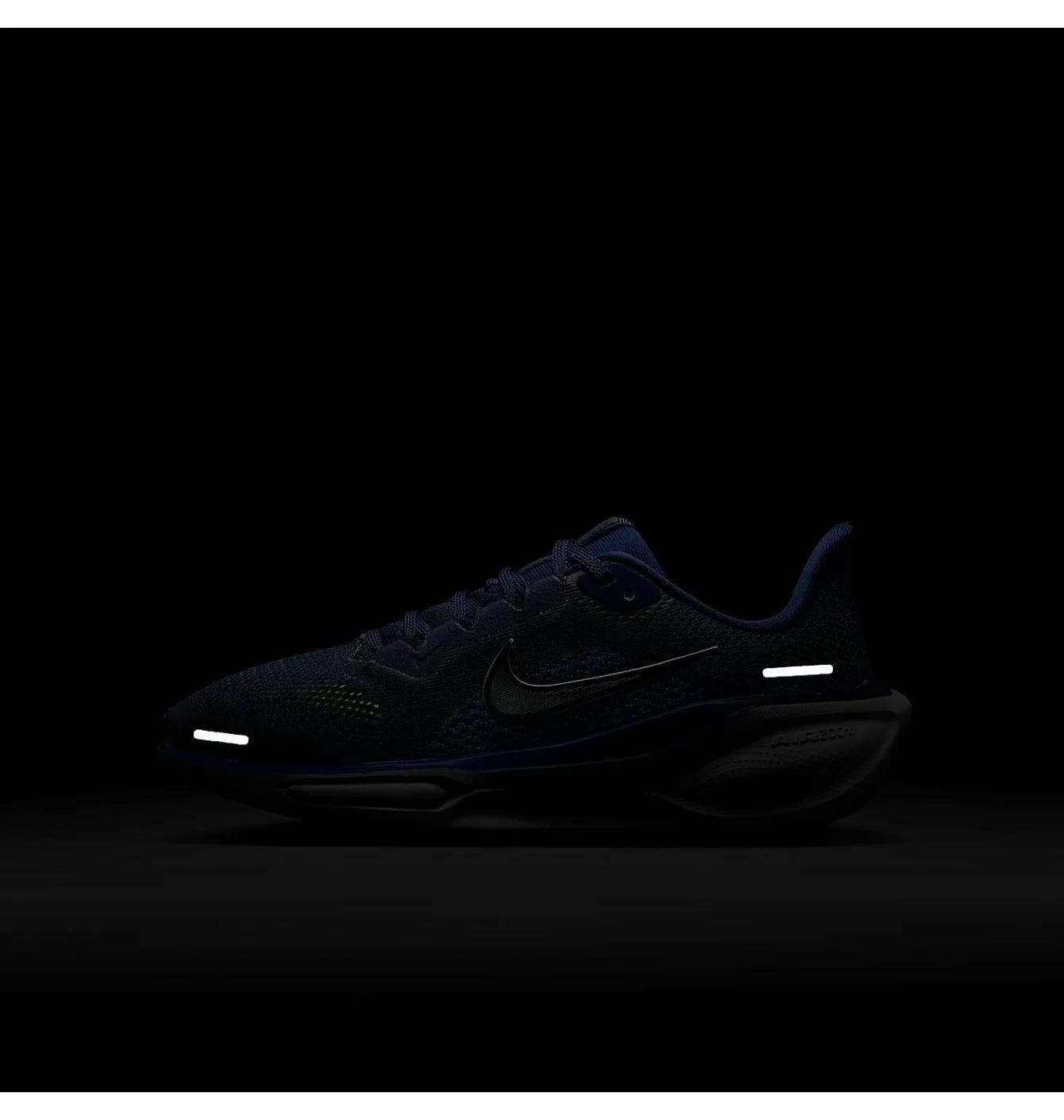 NIKE ZOOM PEGASUS 41 GS