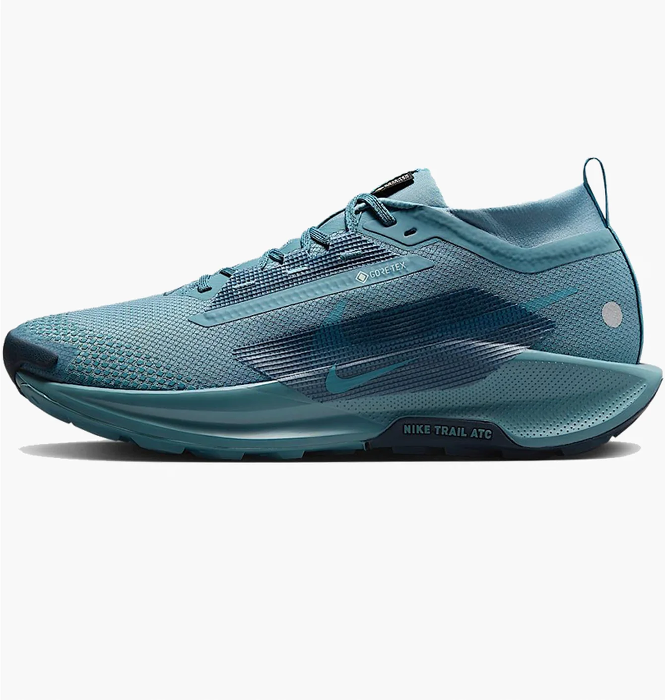 NIKE PEGASUS TRAIL 5 GTX