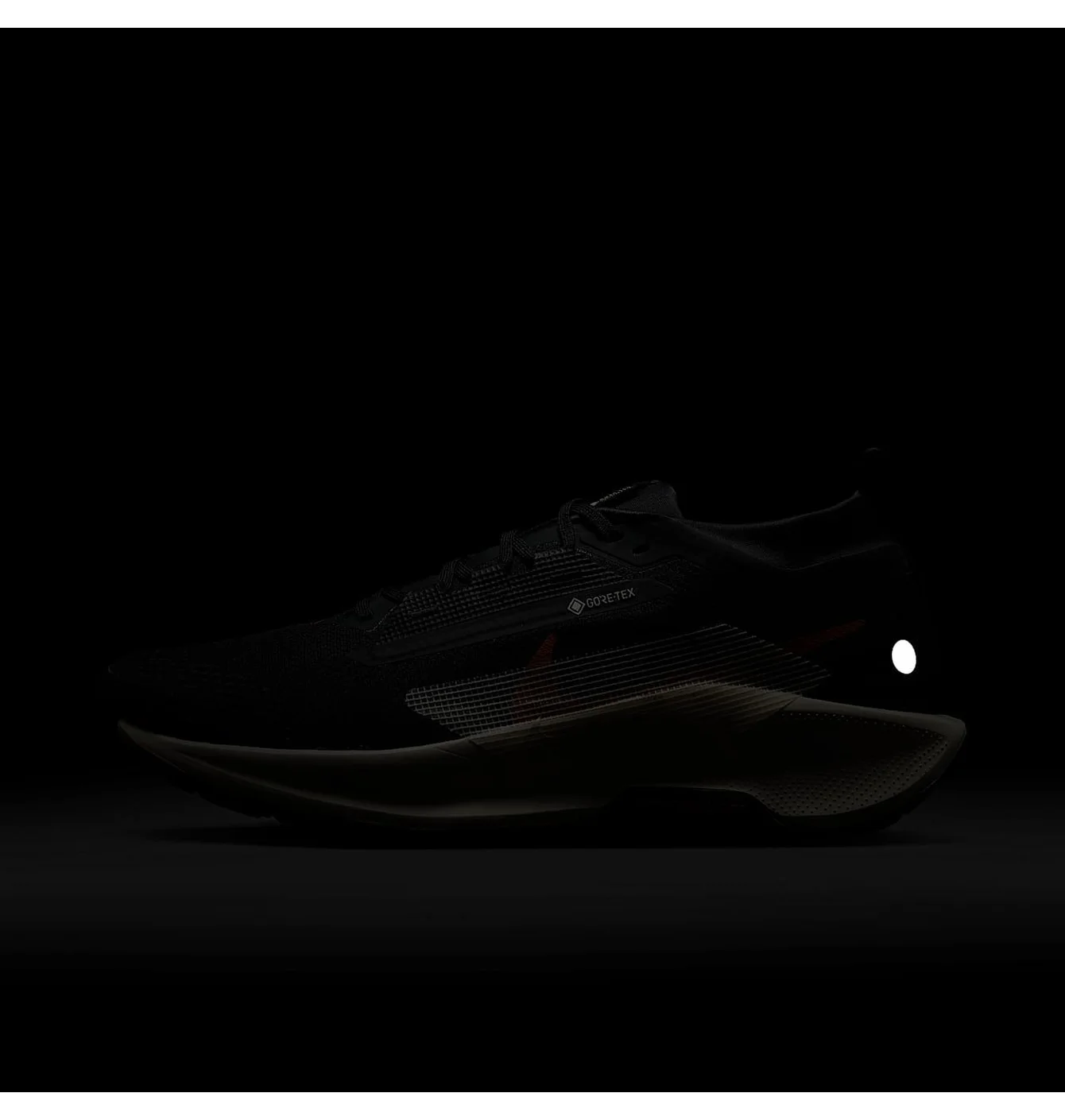 NIKE PEGASUS TRAIL 5 GTX