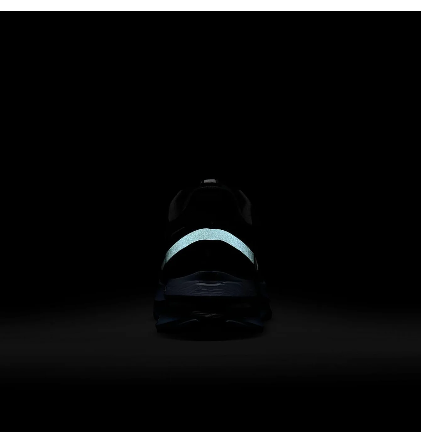 Кросівки чоловічі Nike Pegasus Premium MenS Road Running Shoes Black HQ2592-006