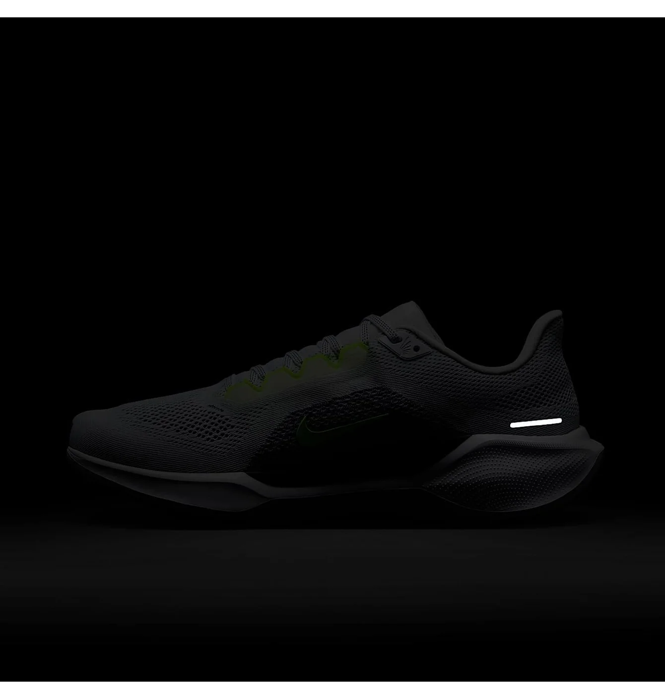 AIR ZOOM PEGASUS 41
