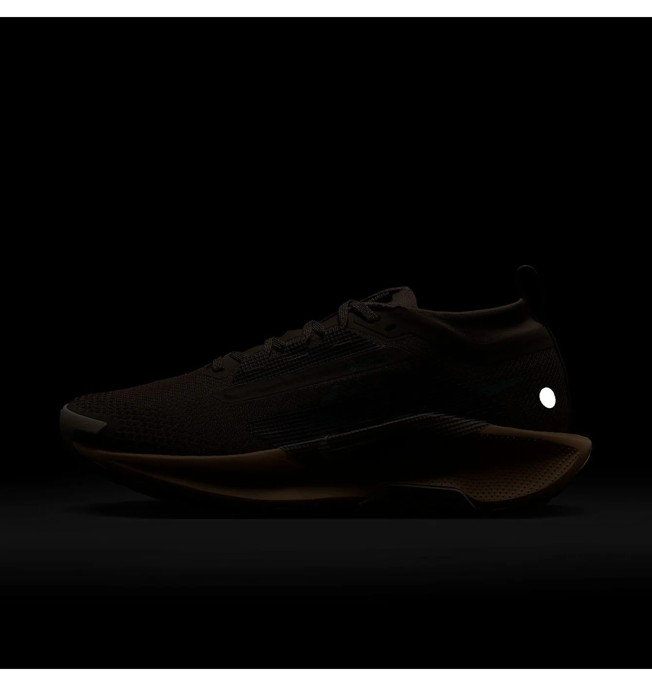 W NIKE PEGASUS TRAIL 5 GTX