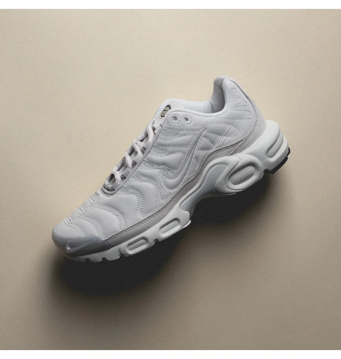 Nike Air Max Plus