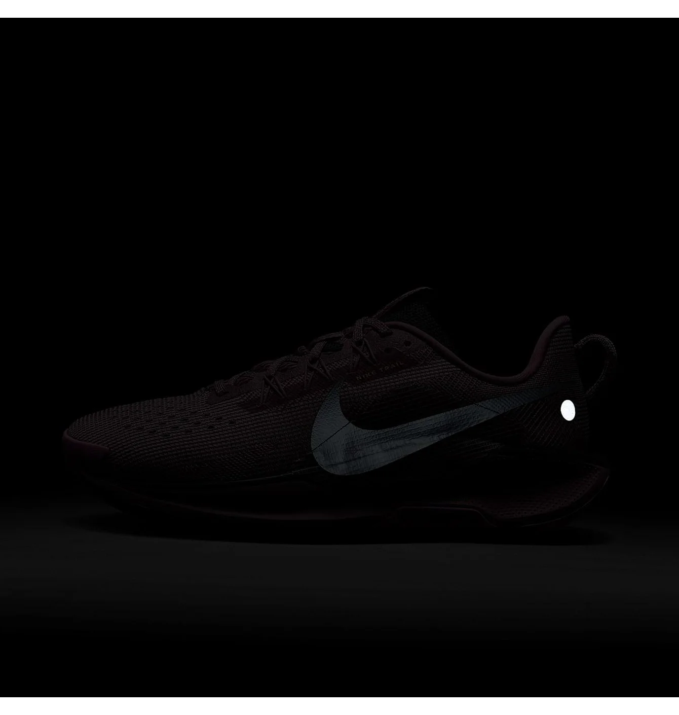 W NIKE PEGASUS TRAIL 5 GTX