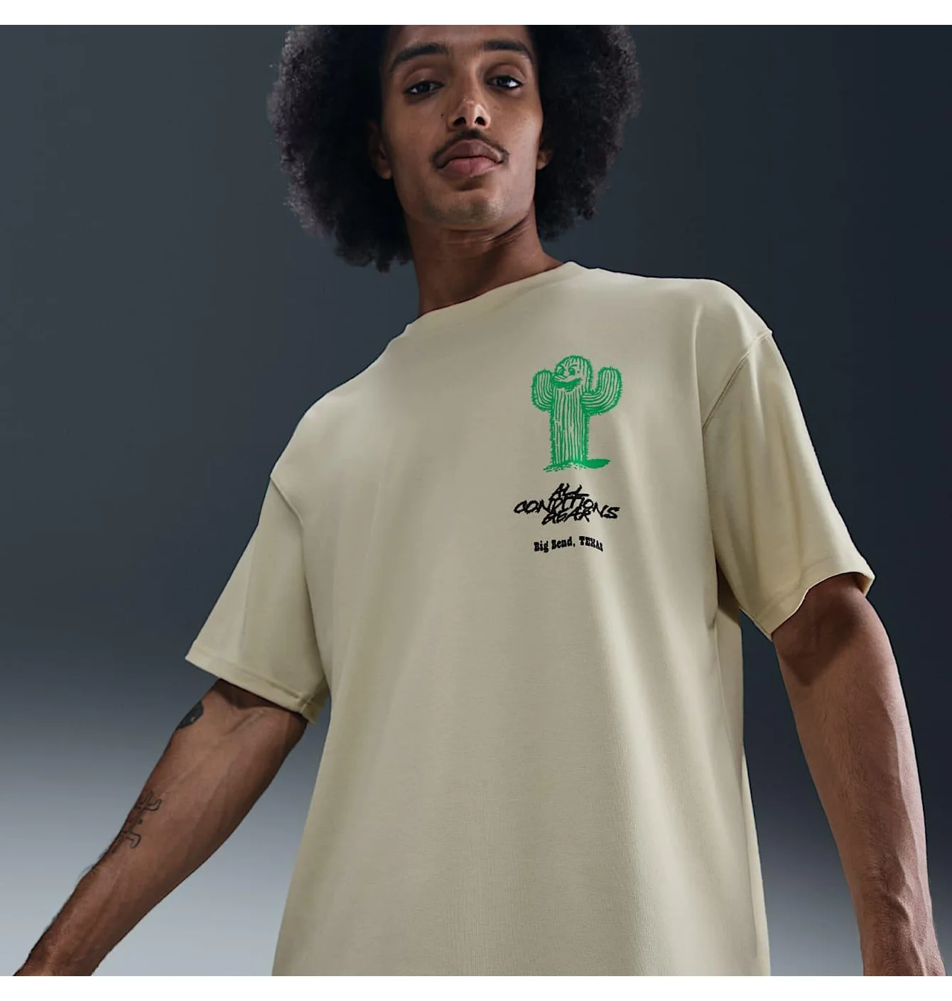 Футболка чоловіча Nike Acg Cactus MenS T-Shirt Beige HV1292-229
